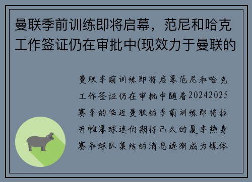 曼联季前训练即将启幕，范尼和哈克工作签证仍在审批中(现效力于曼联的范尼是哪国人)