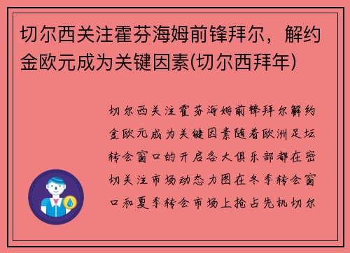 切尔西关注霍芬海姆前锋拜尔，解约金欧元成为关键因素(切尔西拜年)